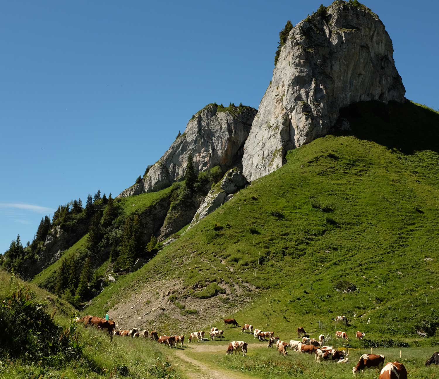 Leysin